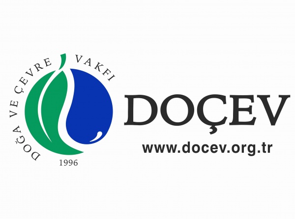 Doçev